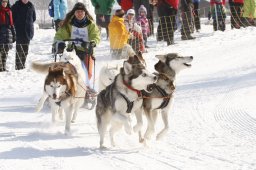 Lenk 2012 SM